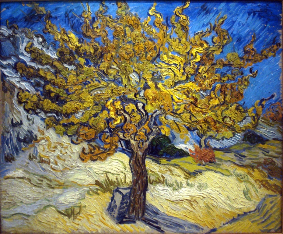 Albero di gelso van gogh 