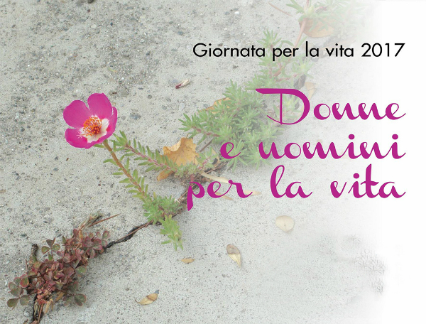 festa vita 2017